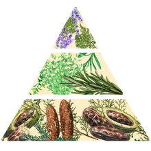 Charger l'image dans la galerie, bougie MAQUIS CORSE