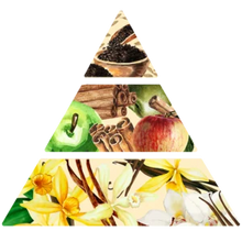 Charger l'image dans la galerie, bougie POMME CANNELLE