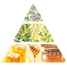 Charger l'image dans la galerie, bougie ylang ylang