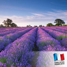Charger l'image dans la galerie, bougie LAVANDE