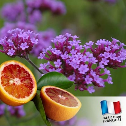 bougie VERVEINE ORANGE SANGUINE